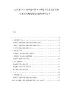 2025至2030全球及中國OTN傳輸和交換設備行業深度研究及發展前景投資評估分析