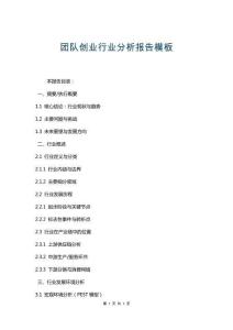 團(tuán)隊(duì)創(chuàng)業(yè)行業(yè)分析報(bào)告模板