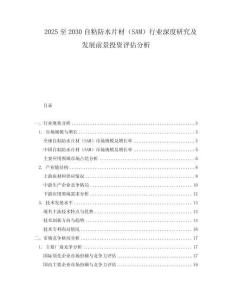 2025至2030自粘防水片材（SAM）行業深度研究及發展前景投資評估分析