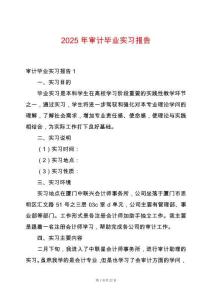 2025年審計(jì)畢業(yè)實(shí)習(xí)報(bào)告