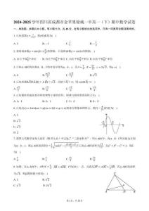 2024-2025學年四川省成都市金蘋果錦城一中高一（下）期中數學試卷（含解析）