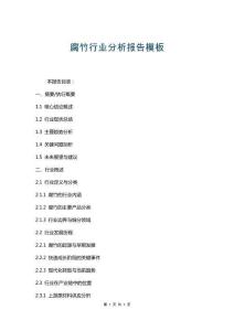 腐竹行業(yè)分析報(bào)告模板