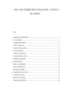 2025-2030雪地拖車軸行業(yè)勞動(dòng)力成本上升應(yīng)對(duì)方案專項(xiàng)研究