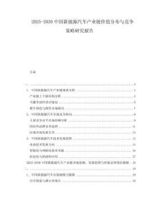2025-2030中國(guó)新能源汽車產(chǎn)業(yè)鏈價(jià)值分布與競(jìng)爭(zhēng)策略研究報(bào)告