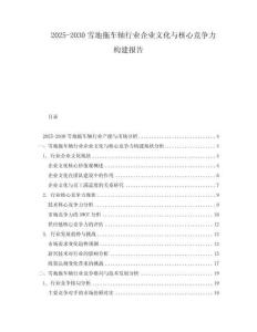 2025-2030雪地拖車軸行業(yè)企業(yè)文化與核心競爭力構(gòu)建報(bào)告