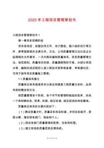 2025年工程項目管理策劃書