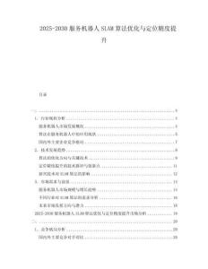 2025-2030服務(wù)機(jī)器人SLAM算法優(yōu)化與定位精度提升