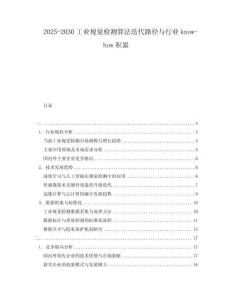 2025-2030工業視覺檢測算法迭代路徑與行業know-how積累