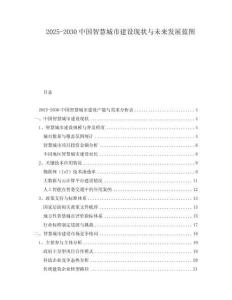 2025-2030中國智慧城市建設現狀與未來發展藍圖