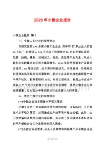 2025年小微企業報告