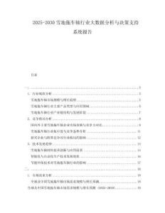 2025-2030雪地拖車軸行業(yè)大數(shù)據(jù)分析與決策支持系統(tǒng)報告