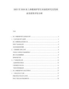 2025至2030冰上曲棍球護脛行業深度研究及發展前景投資評估分析