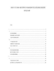 2025至2030索里斯行業深度研究及發展前景投資評估分析