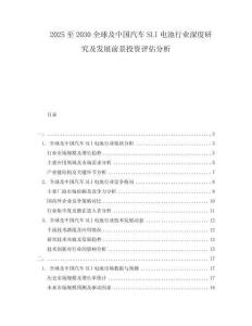 2025至2030全球及中國(guó)汽車SLI電池行業(yè)深度研究及發(fā)展前景投資評(píng)估分析