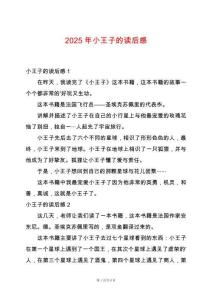 2025年小王子的讀后感