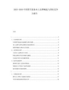 2025-2030中國滑雪裝備本土品牌崛起與國際競爭力報告