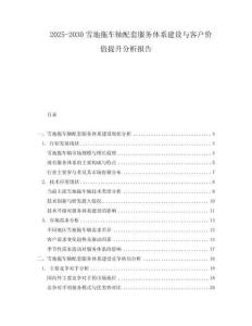 2025-2030雪地拖車(chē)軸配套服務(wù)體系建設(shè)與客戶價(jià)值提升分析報(bào)告