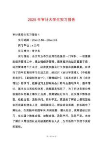 2025年審計(jì)大學(xué)生實(shí)習(xí)報(bào)告