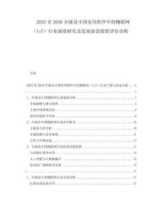 2025至2030全球及中國(guó)實(shí)用程序中的物聯(lián)網(wǎng)（IoT）行業(yè)深度研究及發(fā)展前景投資評(píng)估分析