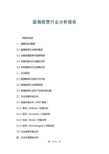 藍(lán)海租賃行業(yè)分析報(bào)告