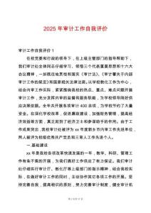 2025年審計工作自我評價