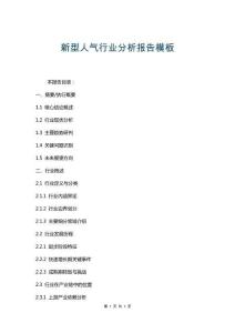 新型人氣行業(yè)分析報告模板