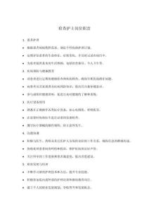 檢查護士崗位職責(zé)