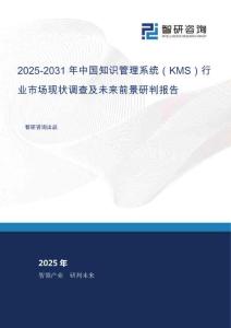 2025-2031年中國知識管理系統（KMS）行業市場現狀調查及未來前景研判報告