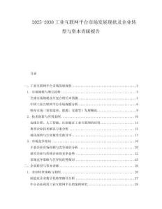 2025-2030工業(yè)互聯(lián)網(wǎng)平臺(tái)市場(chǎng)發(fā)展現(xiàn)狀及企業(yè)轉(zhuǎn)型與資本青睞報(bào)告