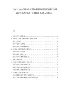 2025-2030國際武術愛好者健康促進計劃推廣實施研究及傳統武術文化國際化傳播方案指南