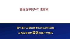 西妥昔單抗N01注射液2025