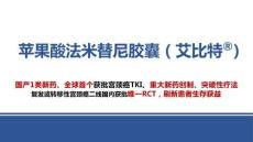 蘋果酸法米替尼膠囊2025