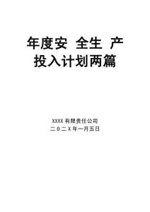 06-202X年度安全投计划-两篇