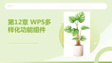 WPS Office辦公應(yīng)用案例教程：WPS多樣化功能組件PPT教學課件