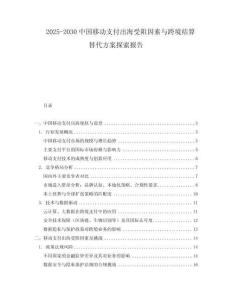 2025-2030中國(guó)移動(dòng)支付出海受阻因素與跨境結(jié)算替代方案探索報(bào)告