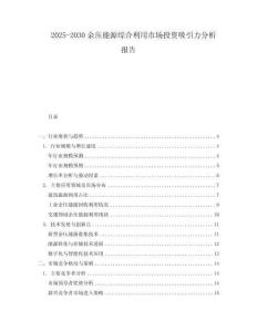 2025-2030余壓能源綜合利用市場投資吸引力分析報告