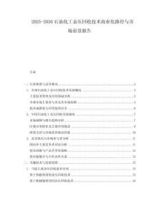 2025-2030石油化工余壓回收技術商業化路徑與市場前景報告