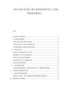 2025-2030余氣化工聯(lián)產(chǎn)技術(shù)經(jīng)濟(jì)性評估與工藝流程優(yōu)化分析報(bào)告