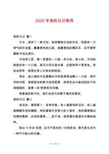 2025年我的日記常用