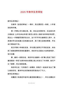 2025年教學反思簡短