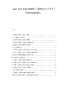 2025-2030計算機軟硬件產業趨勢研討與投資方向判斷深度調研報告