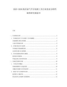 2025-2030海洋油氣平臺鉆探工具行業需求分析檔調查研究規劃書
