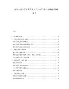 2025-2030中國無人機低空經濟產業生態構建戰略報告