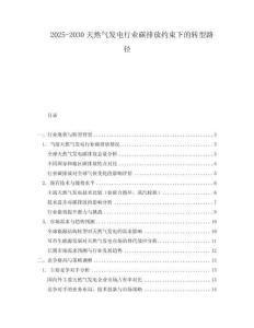 2025-2030天然氣發(fā)電行業(yè)碳排放約束下的轉(zhuǎn)型路徑