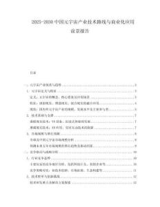 2025-2030中國元宇宙產(chǎn)業(yè)技術(shù)路線與商業(yè)化應(yīng)用前景報告