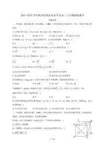 2024~2025学年陕西省渭南市富平县高三上学期摸底数学试卷【有解析】