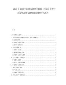 2025至2030中國經(jīng)皮神經(jīng)電刺激（TENS）裝置行業(yè)運(yùn)營態(tài)勢(shì)與投資前景調(diào)查研究報(bào)告
