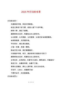 2025年打掃的名言