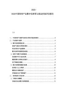 2025-2030中國體育產業數字化轉型與商業價值評估報告