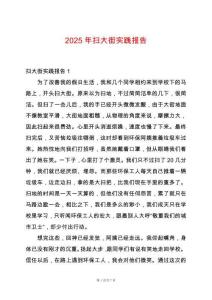 2025年掃大街實踐報告